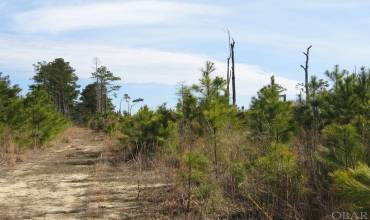 000 Caratoke Highway, Barco, NC 27917, ,Land,For Sale,Caratoke Highway,115822