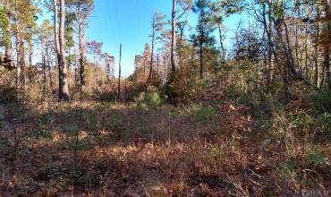 0 Riverneck Road, Columbia, NC 27925, ,Land,For Sale,Riverneck Road,117093