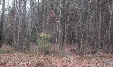 1176 Folley Road, Elizabeth City, NC 27909, ,Land,For Sale,Folley Road,117161