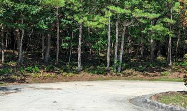 131 William and Mary Way, Manteo, NC 27954, ,Land,For Sale,William and Mary Way,120046
